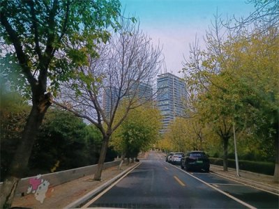 ​男人变心了，最狠的惩罚方式：三个字