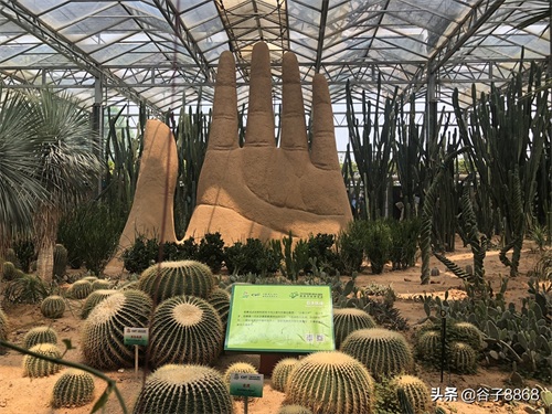 走进寿光蔬菜高科技示范园,就像进了蔬果大观园,开眼界了