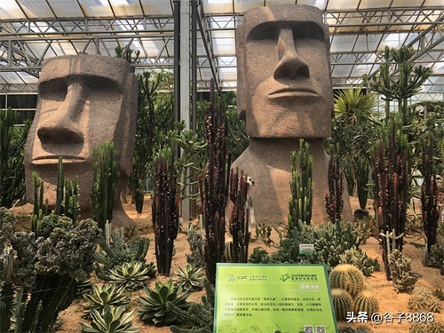 走进寿光蔬菜高科技示范园,就像进了蔬果大观园,开眼界了