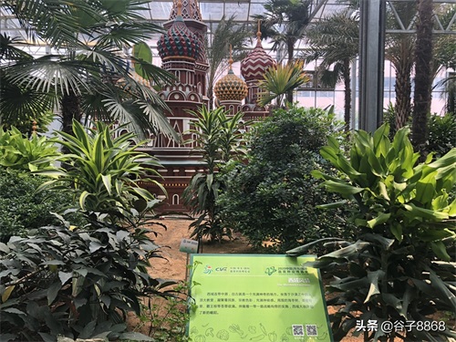 走进寿光蔬菜高科技示范园,就像进了蔬果大观园,开眼界了