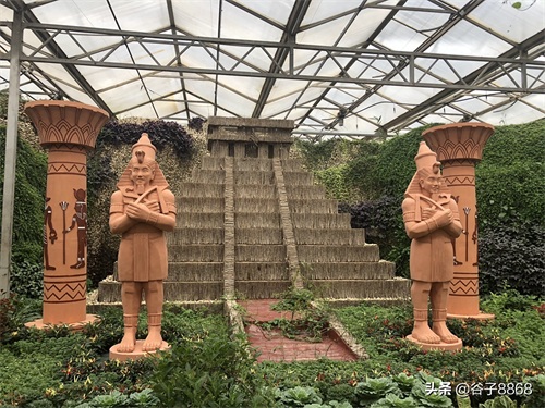 走进寿光蔬菜高科技示范园,就像进了蔬果大观园,开眼界了