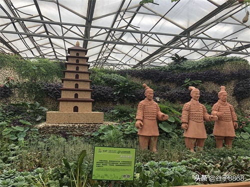 走进寿光蔬菜高科技示范园,就像进了蔬果大观园,开眼界了