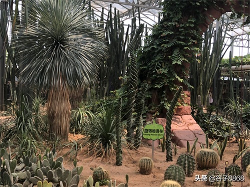 走进寿光蔬菜高科技示范园,就像进了蔬果大观园,开眼界了