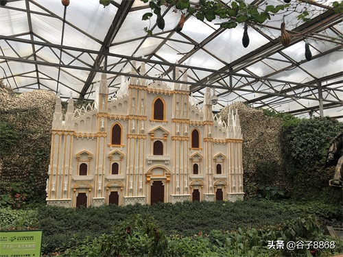 走进寿光蔬菜高科技示范园,就像进了蔬果大观园,开眼界了