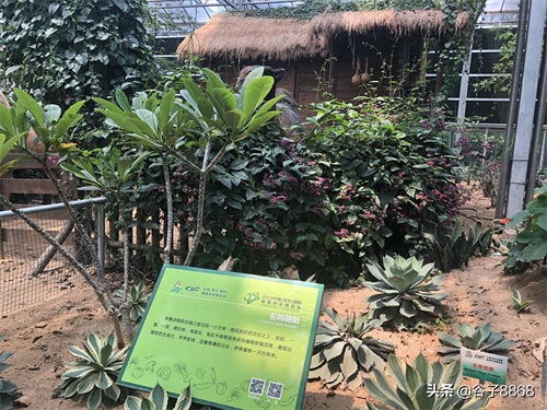 走进寿光蔬菜高科技示范园,就像进了蔬果大观园,开眼界了