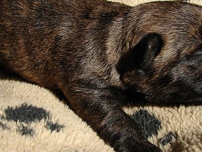 ​敦刻尔克血案惊魂：22岁青年连杀五人，动机成谜