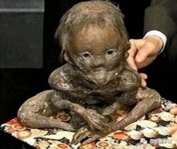 ​水鬼其实就是水猴子？它们是否真的存在 还是人们的惶惶奇谈？