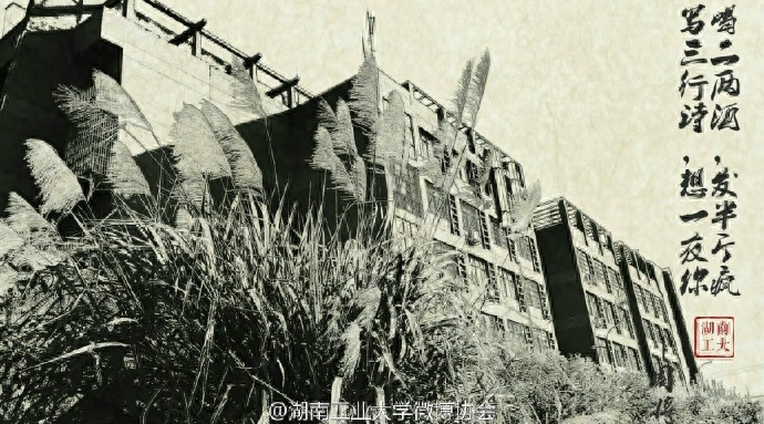当周将式三行情书遇上美丽的湖南工业大学，你会想起谁？