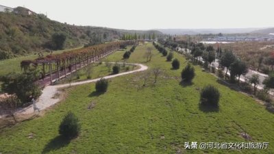 ​邢台沙河红石沟休闲生态农场：百亩花海浪漫相约 俏丽多姿秋日画卷