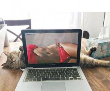 ​搞笑图片大合集，看了这30张图片你一定能笑