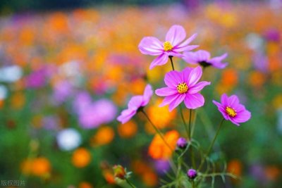 ​朋友圈屏蔽你，却又不删除你，多半是这四个原因！