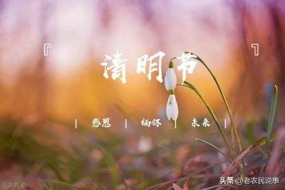​清明快到，4句老祖宗留下的清明节气农谚，能够预测天气及收成！