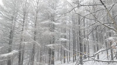 ​瞰中国｜雾灵山银装素裹 壮美如画