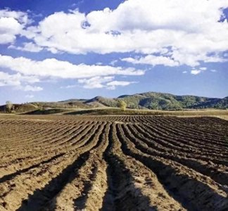 ​500亩补贴能领多少？国家农业政策深度解读