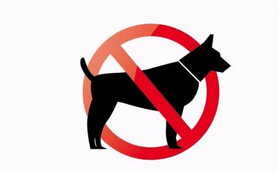 ​独家调查｜德国牧羊犬为何上了狗狗“黑名单”？