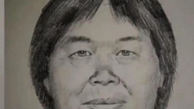 ​梅姨落网不实“梅姨”总共拐走多少儿童，抓获难度为何如此之大？