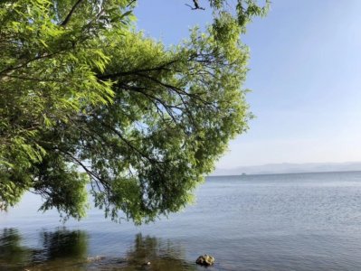 ​诗情画意图解诗词：《诗经》采薇（昔我往矣）