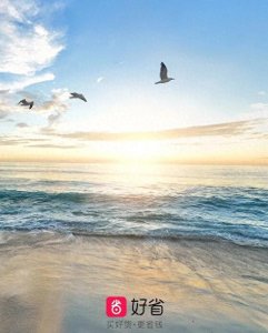 ​好省口令是多少？官方口令