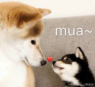 ​2019年民政局周末上班吗？民政局周六周日可以领证吗