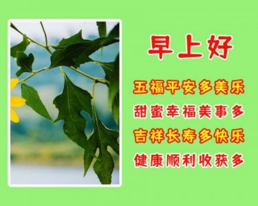 ​清晨暖心问候语，朋友们早上好