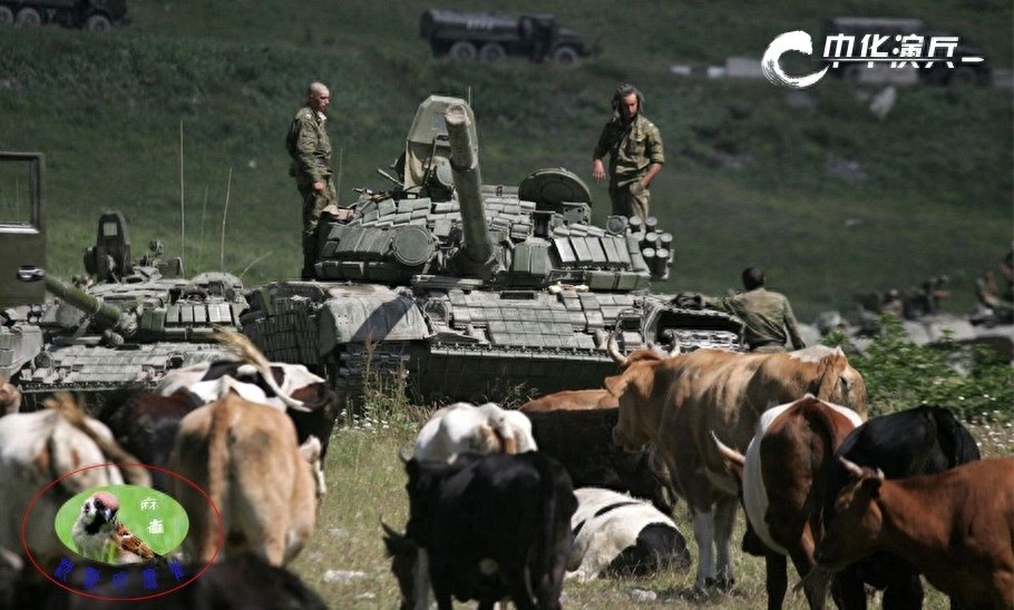 中华演兵：大军碾“狂徒” 记08年惨烈俄格战争