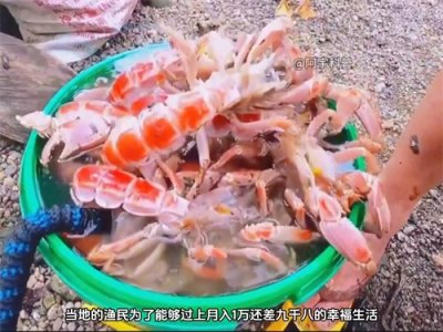 ​泥龙虾，比小龙虾还要鲜美的物种！