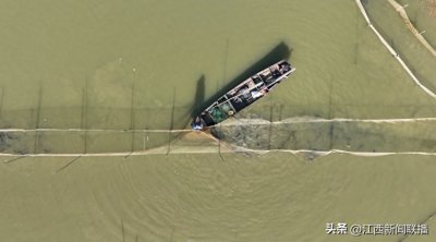 ​冬捕来了！放眼望去全是鱼