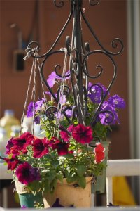 ​PS液化滤镜使用要点