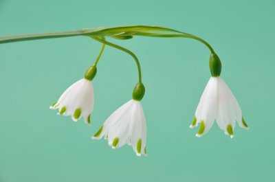 ​真正的高贵！（深度好文）