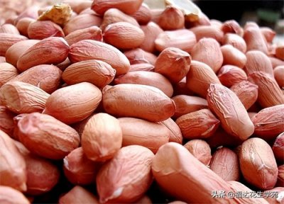 ​「花生价格」3月25日河北滦州、滦南、昌黎最新花生价格行情分析