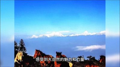 ​比， 一个人去爬山，看到如此美丽的家乡心情也美好。