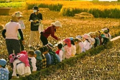 ​游学，带孩子去感受七月在野，八月在宇，九月在户，十月蟋蟀…