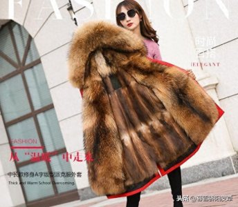 ​派克服内胆中拼貂、狐狸毛、貉子毛、兔毛的优势和弊端你知道吗