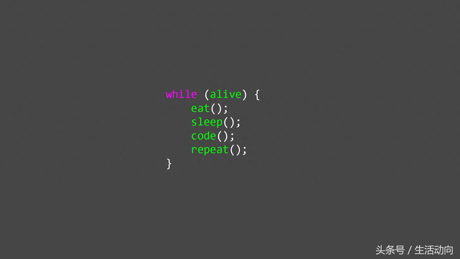 17 张程序员壁纸推荐 生动阐述了程序员的人生 技术人员电脑壁纸