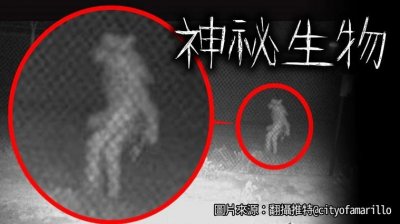 ​是啥生物？美国德州动物园外拍到半人半兽影像引热议