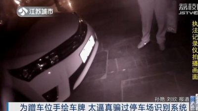 ​技术大佬神仙操作！手绘车牌竟能骗过电子识别系统