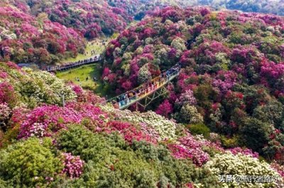 ​4月值得去的10个旅行地，随便挑一个就出发，美到不想回家